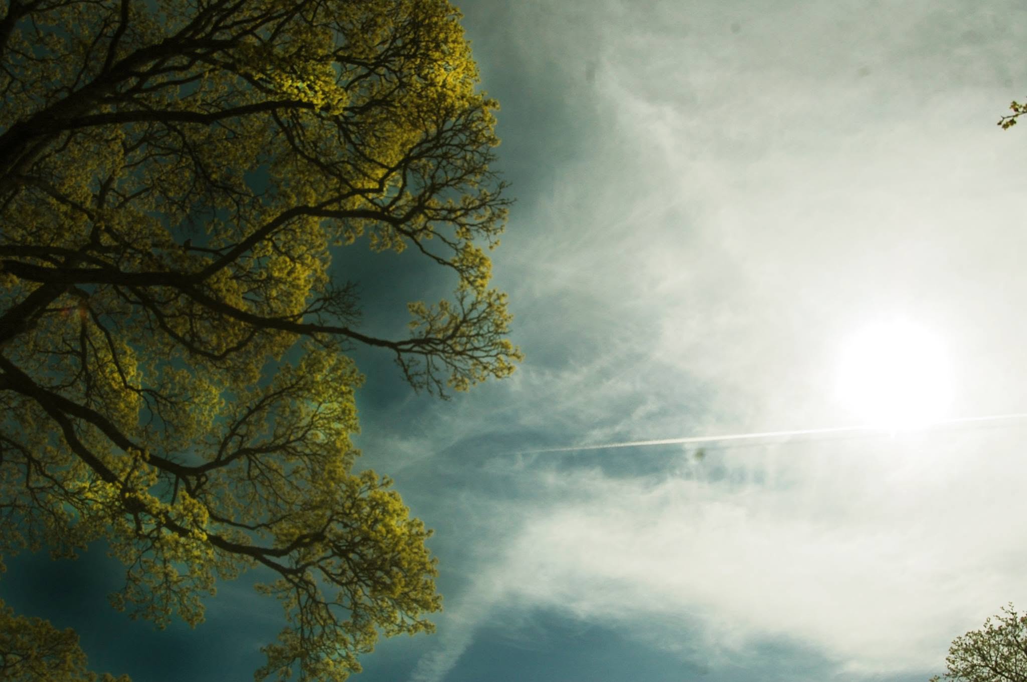 Estudio de luz y contraluz en exteriores